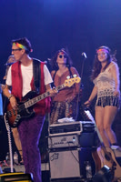 Indiana Boogie 2019 Bands