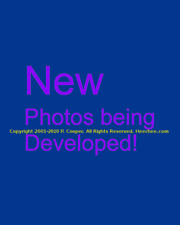 NewPhotos